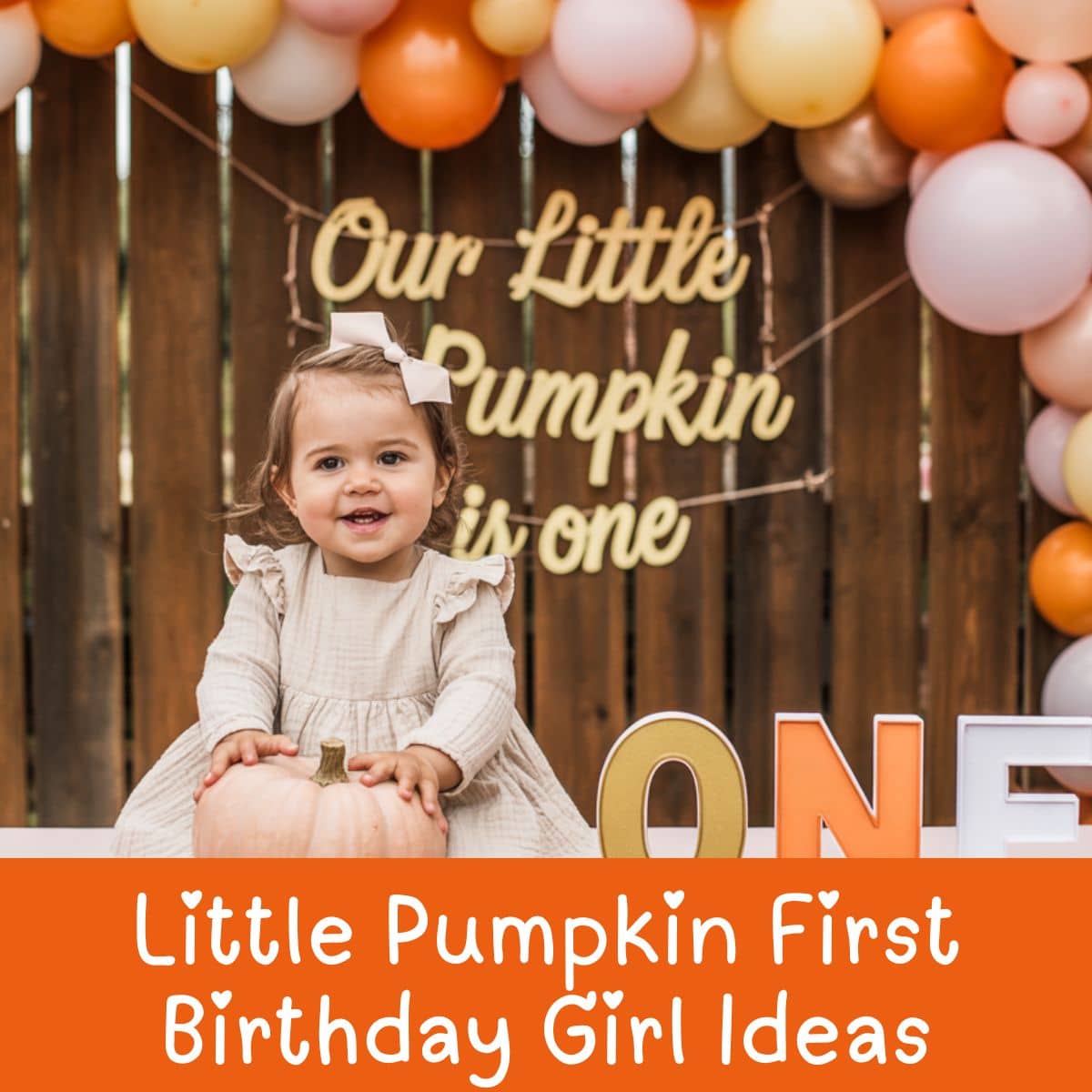 little pumpkin 1st birthday grl ideas
