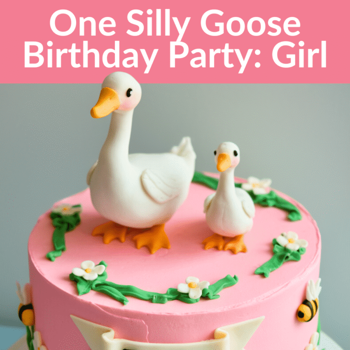 one silly goose birthday party girl 1-18-25 one silly goose girl frst birthday party