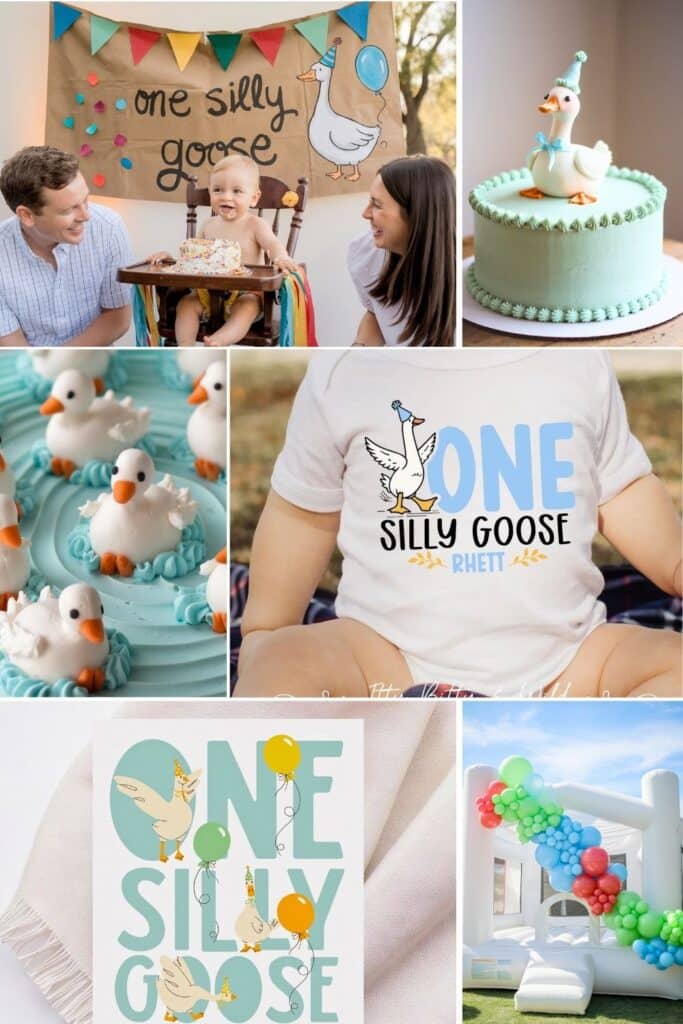 first birthday themes - one silly goose first birthday party boy