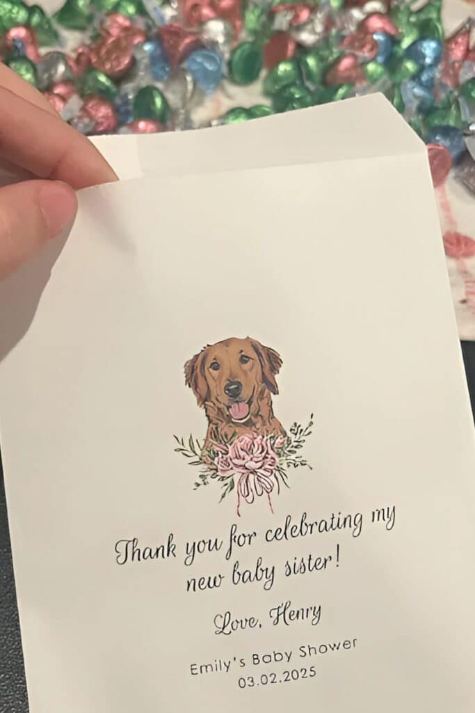 baby shower favor alternatives - custom take home treat bags
