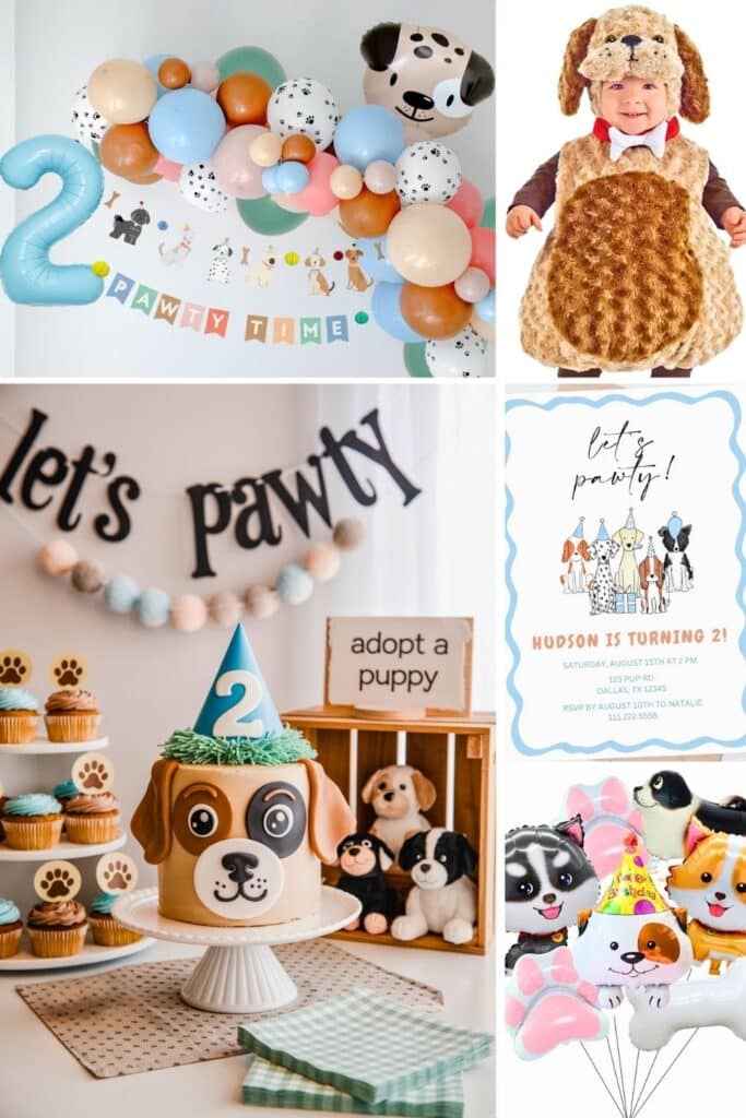 2nd birthday boy themes - ready two pawty