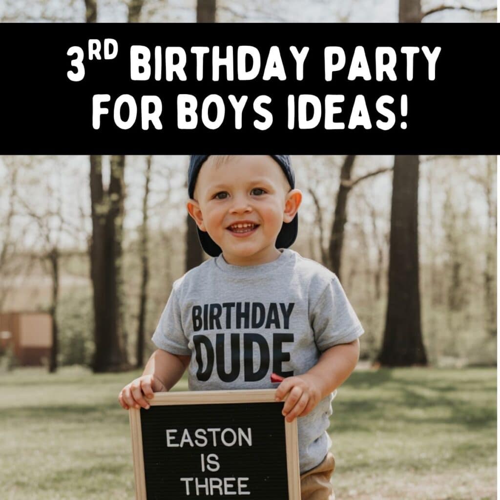 3rd birthday party for boys themes and ideas