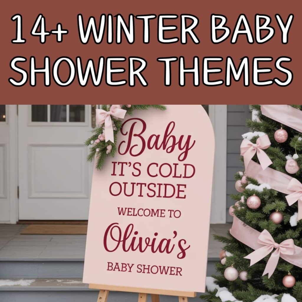 winter baby shower themes