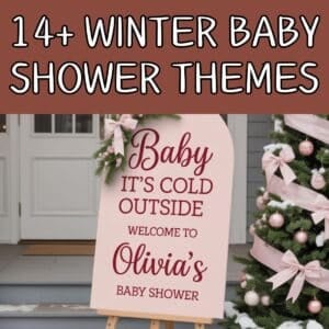 winter baby shower themes