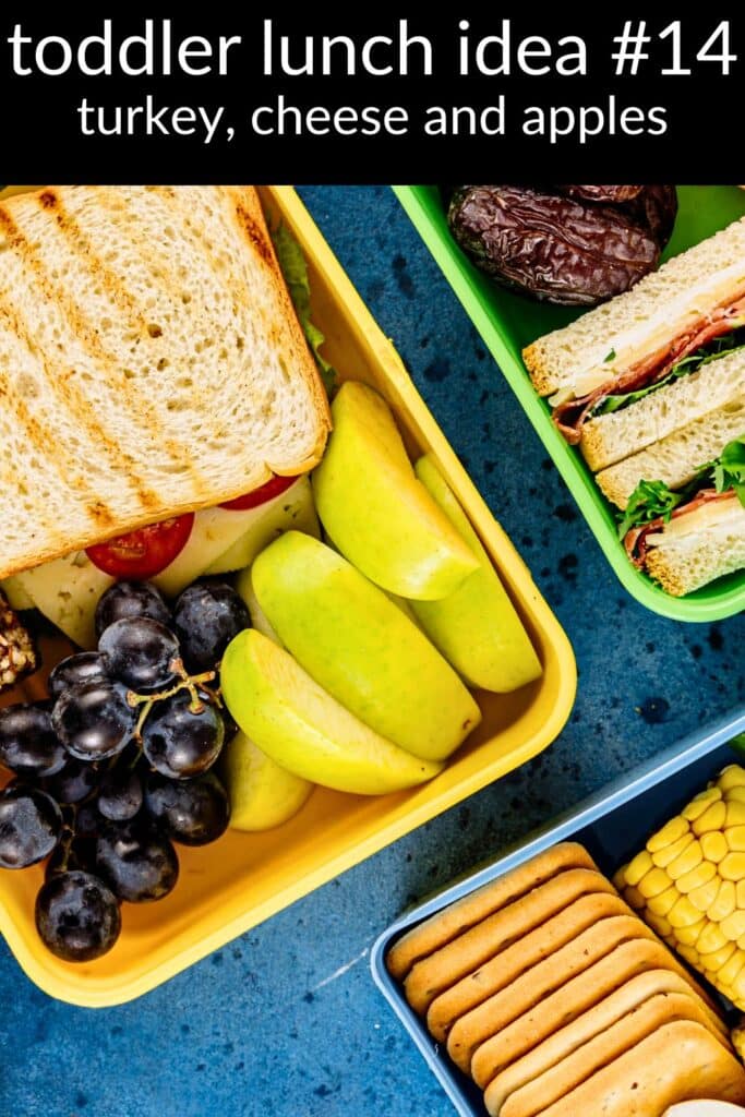 Turkey, cheese, and apple slices in a bento lunchbox — an easy toddler lunch idea with crackers and grapes, perfect for daycare.