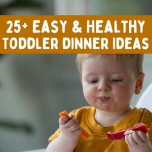 toddler dinner ideas