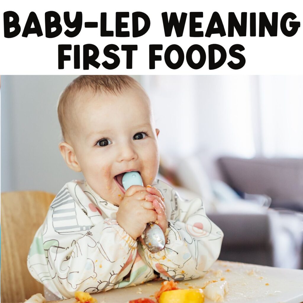 baby led weaning first foods
